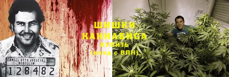 что такое наркотик  Емва  Канабис Ganja 